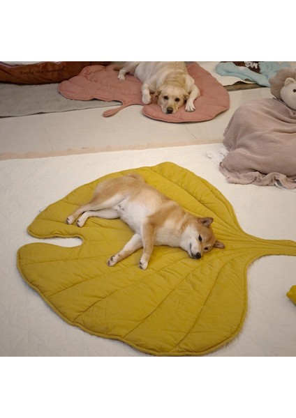 110X120 cm Yaprak Şekli Yumuşak Köpek Yatak Mat Yumuşak Sandık Ped Makinede Yıkanabilir Yatak Büyük Orta Küçük Köpekler ve Kediler Için Köpek Kulübesi Pedi Kedi Yatağı (Yurt Dışından) fiyatları