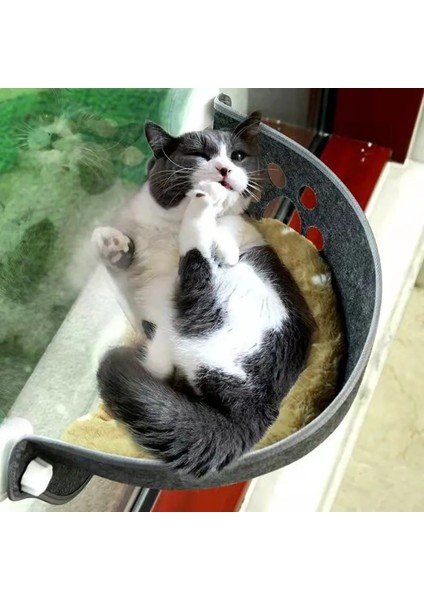 SE001G 52X28CM Evcil Hayvan Hamak Güneş Yatakları Rulman Kedi Pencere Şezlong Emme Kedi Kafesi Pencere Güçlü Vantuz Raf Rahat Kitty Yuva (Yurt Dışından) fiyatları