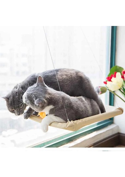 Mavi 55X35 cm Rulman 20 kg Kedi Asılı Yataklar Evcil Hayvan Hamağı Yatak Kedi Güneşli Pencere Koltuk Montajı Kediler Için Kitty Rahat Kedi Pet Yatak Rafı Koltuk Yatakları (Yurt Dışından) modelleri