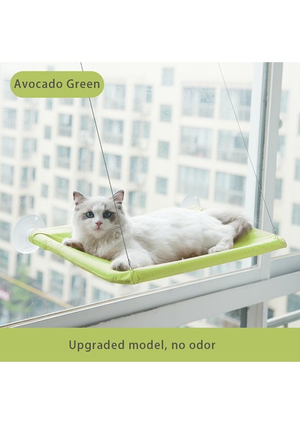 D Kedi Hamak Pet Yatak Pencere Askısı Hamak Ayrılabilir Yıkanabilir Emme Raf Yataklar Koltuk Kedi Uyuyan Kedi Evi Kedi Aksesuarları (Yurt Dışından)