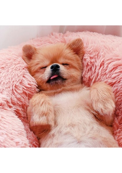 Batik Bej 60 cm Tatlı Kedi Yatağı Sıcak Evcil Hayvan Sepeti Rahat Yavru Şezlong Yastık Kedi Evi Çadır Çok Yumuşak Küçük Köpek Mat Yuva Donut Yuvarlak Kediler Için Yataklar (Yurt Dışından) indirimleri