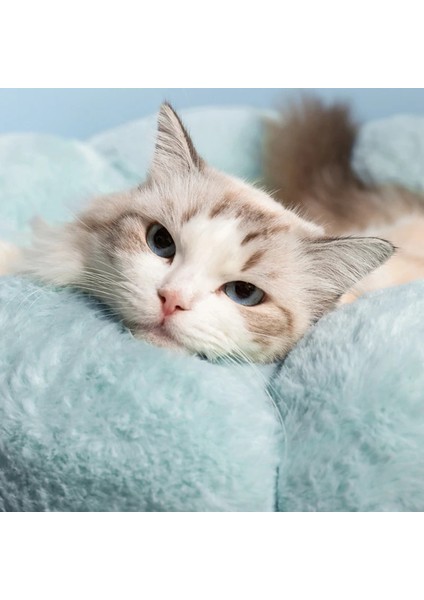 Yeşil L 65 cm Süper Yumuşak Kedi Yatak Yıkanabilir Çiçek Yastık Kendinden Isınma Uyku Yastık Mat Kedi Dört Mevsim Evrensel Pet Yatak Mascotas (Yurt Dışından) fırsatları