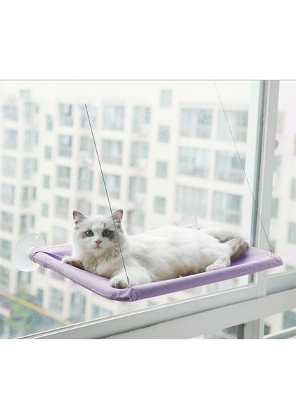 Mor 55X35 cm Rulman 20 kg Kedi Asılı Yataklar Evcil Hayvan Hamağı Yatak Kedi Kediler Için Güneşli Pencere Koltuğu Dağı Kitty Rahat Kedi Pet Yatak Raf Koltuk Yatakları (Yurt Dışından)