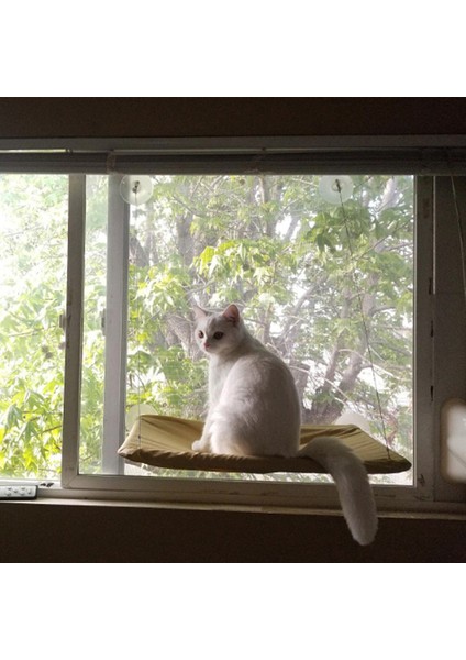 Kedi Raf Kedi Yatak Çıkarılabilir Pencere Eşiği Kedi Radyatör Salonu Hamak Kediler Için Kitty Asılı Yatak Rahat Taşıyıcı Pet Yatak Koltuk Hamak (Yurt Dışından)