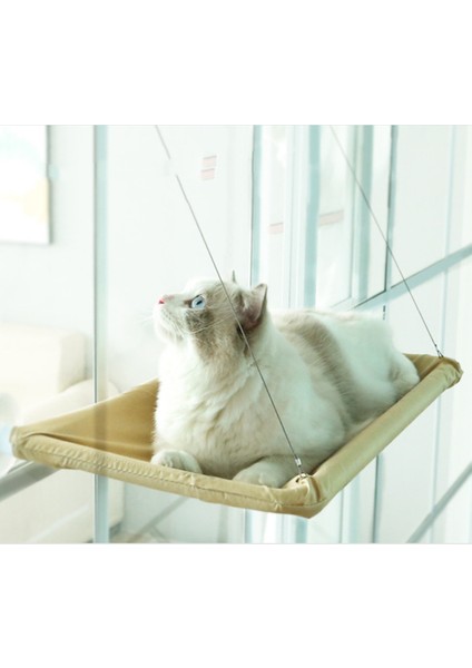 Stil 2 Kediler Asılı Yataklar Hamak Kediler Için Rulman 20 kg Kedi Güneşli Pencere Koltuğu Dağı Pet Kedi Hamak Rahat Kedi Evcil Hayvan Yatakları Cama Gato (Yurt Dışından) indirimleri
