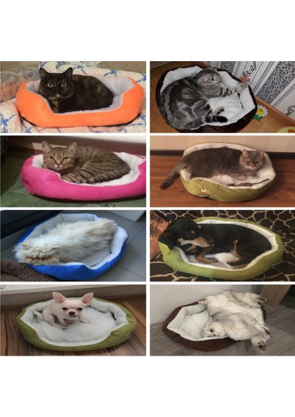 Yeşil 47X38 cm 1 Adet 47*38 cm Süper Sevimli Yumuşak Kedi Yatak Kış Evi Kedi Için Sıcak Pamuk Köpek Evcil Hayvan Ürünleri Mini Yavru Pet Köpek Yatağı Yumuşak Rahat (Yurt Dışından) modelleri
