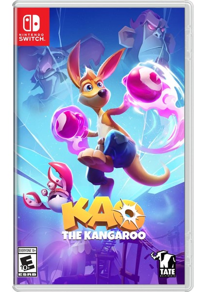 Ns Kao The Kangaroo Nintendo Switch Oyunu