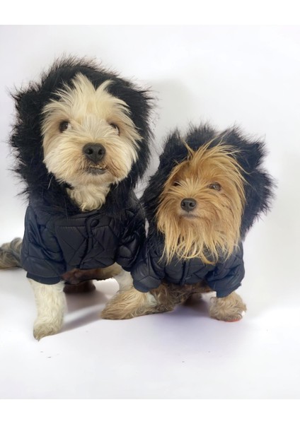 Luxy Black Köpek Montu, Köpek Ceketi, Köpek Dış Giyim