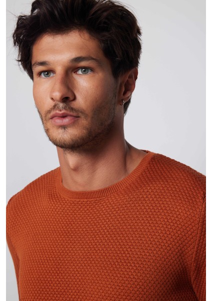 Slim Fit Bisiklet Yaka Petek Desenli Tarçın Erkek Kazak