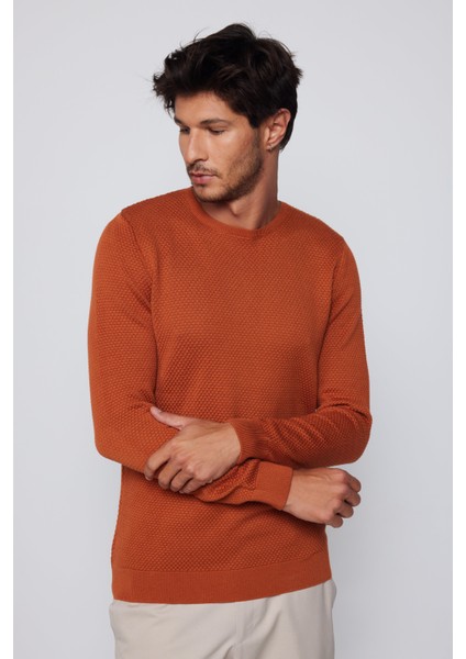 Slim Fit Bisiklet Yaka Petek Desenli Tarçın Erkek Kazak fiyatları