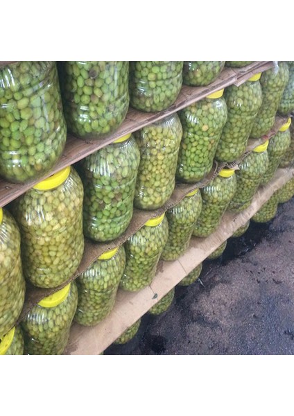 Yöresel Baharat El Kırması Yeşil Zeytin 5.200GR modelleri
