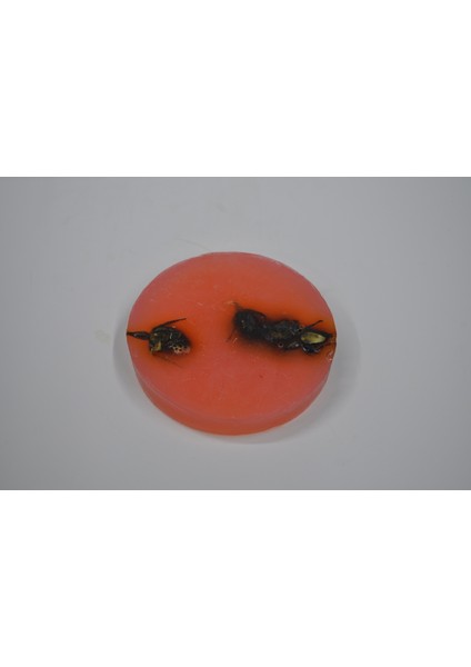 %100 Doğal El Yapımı Gül Sabunu fiyatları