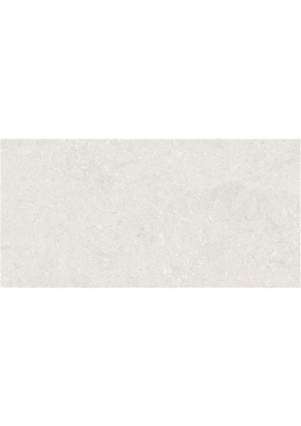 Lightstone Fon Beyaz Mat Porselen Karo 60X120 K952061R0001VTSP