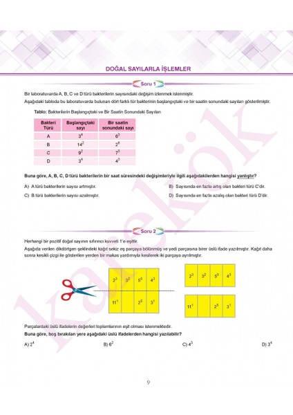 6. Sınıf Yeni Nesil Beceri Temelli Türkçe-Matematik Seti (Ros)