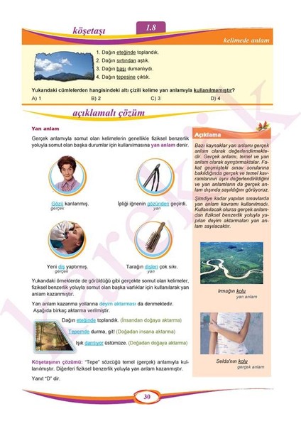 8. Sınıf LGS Türkçe, Matematik, Fen Bilimleri, T.C İnkılap Tarih K