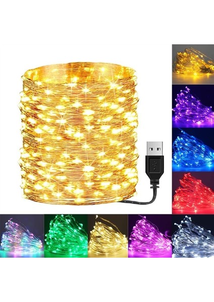 Sıcak Beyaz 2M/3M/5M/10M Pil/usb LED Dize Işıklar Noel Çelenk Lambası Parti Düğün Tatil Dekorasyon Noel Ağacı Peri Işıkları (Renk: Rgb, Boyut: 5m-Usb Ile) (Yurt Dışından)