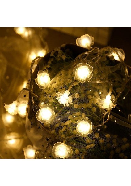 Çiçek Dize Işıkları, Pille Çalışan 4m 40LED Gül Çiçek Peri Işığı, 2 Aydınlatma Modu ile Kapalı Açık Bahçe Dekoru Için Çiçek Noel Işıkları (Sıcak Beyaz) (Yurt Dışından) modelleri