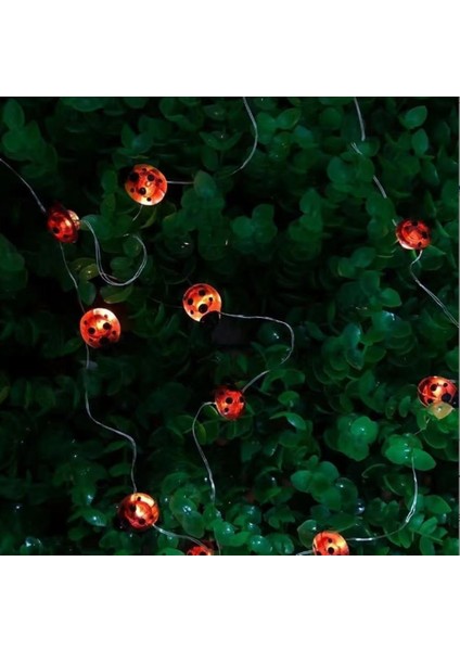 Uğur Böceği Noel Peri Işıkları, 3m 30LED Böcek Dize Işıklar Su Geçirmez Kapalı Dize Işıklar Gümüş Tel Pil Gücü (Kırmızı) (Yurt Dışından) fiyatları