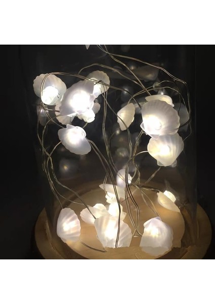 Deniz Perisi Dize Işık, 3m 30LED Plaj Dize Işıklar Okyanus Dekor Dize Işıklar Gümüş Tel Pil (Kabuk) (Yurt Dışından)