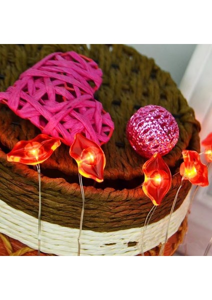 Kalp Dize Işıklar, 3m 30LED Aşk Dudaklar Kalp Şeklinde Pırıltı Peri Işıklar Kapalı Dize Işıklar Gümüş Tel Pil (Dudaklar) (Yurt Dışından)