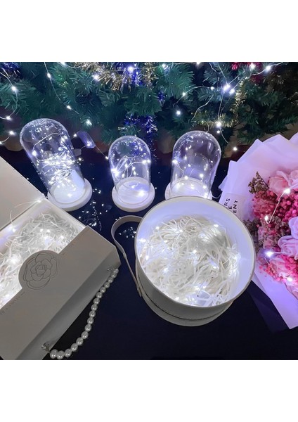 24 Paket Peri Işıkları Pille Çalışan Dize Işıklar, 3.3ft Simli Bakır Tel Üzerinde 10 Led. Çiçekler Hediye Kutusu Düğün Partisi Noel Dekorasyonu Için (24 Paket, Soğuk Beyaz) (Yurt Dışından)