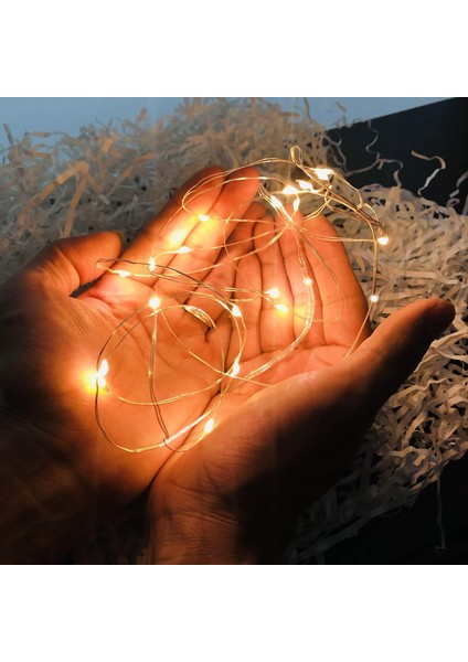 33FT 100LED Peri Işıkları, Pille Çalışan Gümüş Tel Yıldızlı Dize Işıklar Parti Düğün Festivali Sevgililer Günü Dekorasyonu Için Sıcak Beyaz Ateşböceği Işık (Pil + Uzaktan Kumanda) (Yurt Dışından) indirimleri