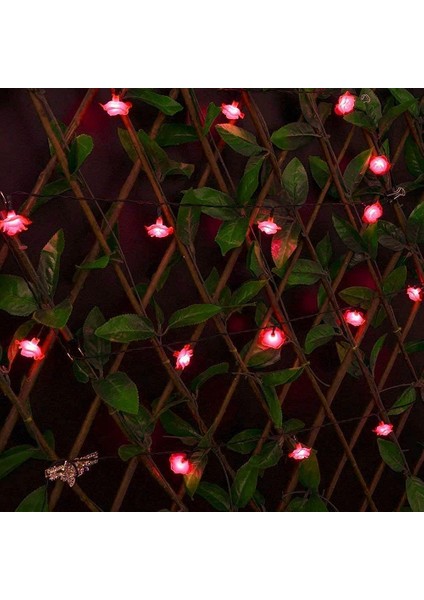 Çiçek Dize Işıkları, Pille Çalışan 4m 40LED Gül Çiçek Peri Işığı, 2 Aydınlatma Modu ile Kapalı Açık Bahçe Dekoru Için Çiçek Noel Işıkları (Kırmızı) (Yurt Dışından) fiyatları