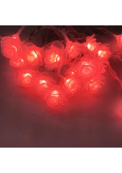Çiçek Dize Işıkları, Pille Çalışan 4m 40LED Gül Çiçek Peri Işığı, 2 Aydınlatma Modu ile Kapalı Açık Bahçe Dekoru Için Çiçek Noel Işıkları (Kırmızı) (Yurt Dışından) modelleri