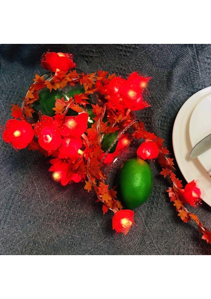 Yapay Dantel Gül Çiçek Vine Garland Peri Dize Işıklar Sevgililer Günü Düğün Noel Cadılar Bayramı Festivali Parti Dekoru Için Pil Kumandalı (C-Kırmızı Gül, 6.6FT/20LED) (Yurt Dışından)