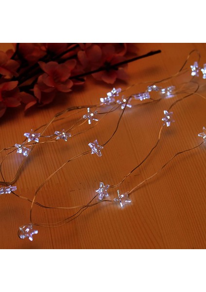 Pentagram LED Dize Işıklar, Festival Dekoratif Lamba Dize Görme Koruması 5 M IP44 Su Geçirmez Abs Elektronik Bileşen Pille Çalışan Düğün (Şeffaf) (Yurt Dışından) fırsatları