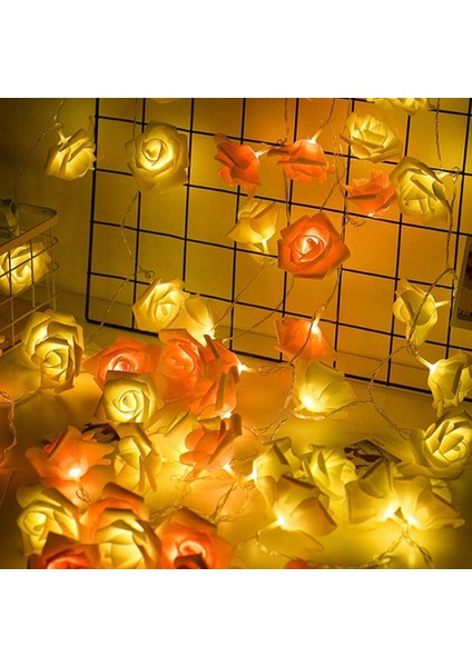 Metre 20 LED Bitki Dize Işıkları Peri Dize Işıklar Tel Akülü Dize Işıklar Sevgililer Günü Düğün Kreş Kız Yatak Odası Dekor Için Dekorasyon (Pembe Gül) (Yurt Dışından) fırsatları