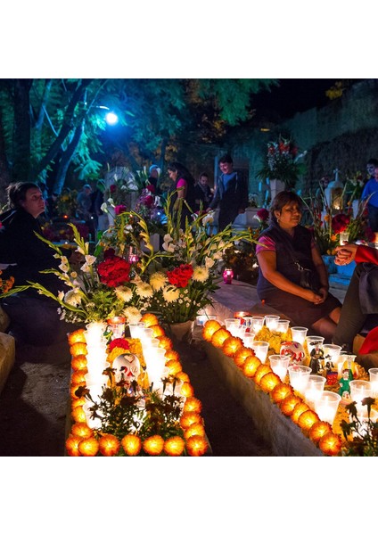 LED Işıklı 16,4 Ft Kadife Çiçeği Pille Çalışan 30 Ledli Ölüm Günü Garland Dize Işıkları Diwali Süslemeleri Ölüm Günü Için Yapay Kadife Çiçeği Hint Düğünü Veya (Yurt Dışından) fiyatları