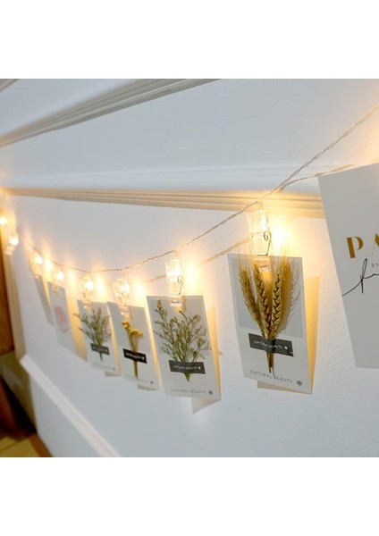 Paket Fotoğraf Klipli Dize Işıklar, 6.6ft 10 LED Pille Çalışan Peri Dize Işıklar, Resimleri Asmak Için Şeffaf Klipler, Düğün, Doğum Günü, Parti, Yatak Odası, Duvar Dekoru (Sıcak Be (Yurt Dışından) fiyatları