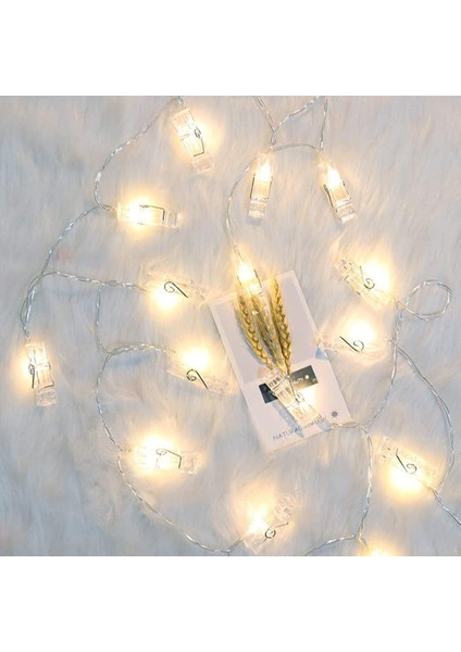 Paket Fotoğraf Klipli Dize Işıklar, 6.6ft 10 LED Pille Çalışan Peri Dize Işıklar, Resimleri Asmak Için Şeffaf Klipler, Düğün, Doğum Günü, Parti, Yatak Odası, Duvar Dekoru (Sıcak Be (Yurt Dışından) modelleri