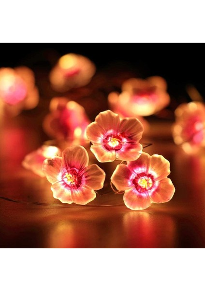 Peri Pembe Kiraz Çiçeği Dize Işıklar 2m 20 Leds Pil Kumandalı Çelenk Çocuk Kız Yatak Odası Düğün Noel Dekorasyonu, Kiraz Çiçeği Çiçek Dize Işıkları Pille Çalışan (Yurt Dışından)