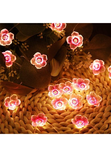 Peri Pembe Kiraz Çiçeği Dize Işıklar 2m 20 Leds Pil Kumandalı Çelenk Çocuk Kız Yatak Odası Düğün Noel Dekorasyonu, Kiraz Çiçeği Çiçek Dize Işıkları Pille Çalışan (Yurt Dışından)