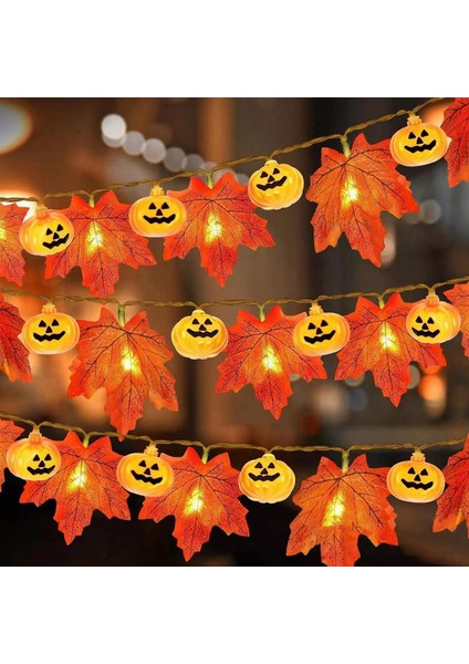 Cadılar Bayramı Işıkları, 10 Ft 20 Led'ler Kabak Akçaağaç Yaprağı Cadılar Bayramı Peri Işıkları Şömine Bahçesi Için Dekoratif Işık Dize Süslemeleri, Pille Çalışan Cadılar Bayramı D (Yurt Dışından)
