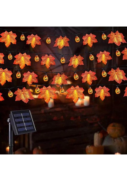 Cadılar Bayramı Işıkları, 10 Ft 20 Led'ler Kabak Akçaağaç Yaprağı Cadılar Bayramı Peri Işıkları Şömine Bahçesi Için Dekoratif Işık Dize Süslemeleri, Pille Çalışan Cadılar Bayramı D (Yurt Dışından) modelleri