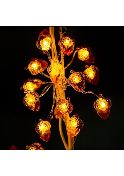 Meşe Palamudu Güz Dekor Hasat Dize Işıklar 9.85FT 30 LED Meşe Palamudu Bakır Tel Peri Işık Akülü Sonbahar Ağacı Şükran Günü Noel Partisi Için Uzaktan Dekor ile Güçlendirilir (Acorn (Yurt Dışından)