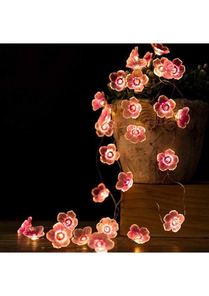 Adet Çiçek Dize Işıklar Kiraz Çiçeği Dize Işıklar Kız Yatak Odası Için Dekoratif Dize Işıklar Pembe Peri Işıklar - 6.6 Feet 20 Led, Pille Çalışan Iç Mekan Dış Mekan (Yurt Dışından)