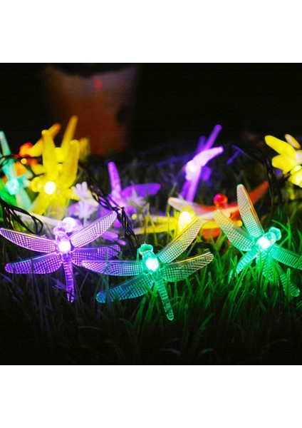 Kelebek Dize Işıklar, 3m 20LED Kelebek Iç Mekan Dize Işıklar Pille Çalışan (Yusufçuk, Çok Renkli) (Yurt Dışından)