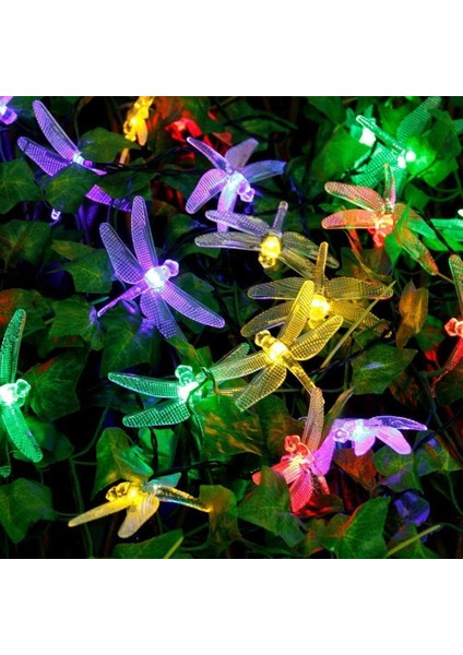 Kelebek Dize Işıklar, 3m 20LED Kelebek Iç Mekan Dize Işıklar Pille Çalışan (Yusufçuk, Çok Renkli) (Yurt Dışından) fırsatları