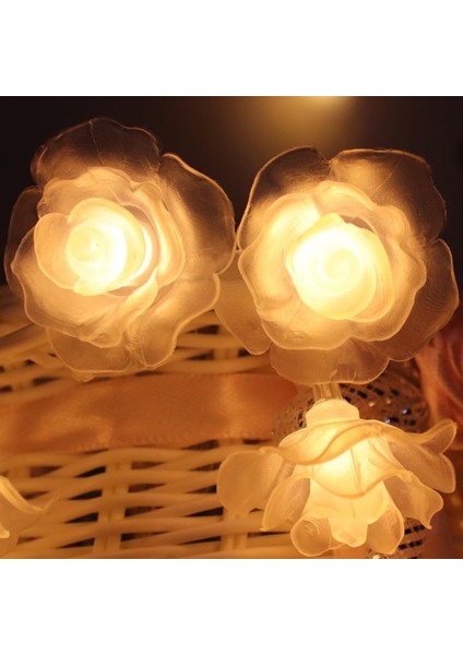Çiçek Dize Işıkları, 4m 40LED Gül Çiçek Peri Işık Kapalı Peri Dize Işıklar Dış Mekan Pil (Sıcak Beyaz) (Yurt Dışından)