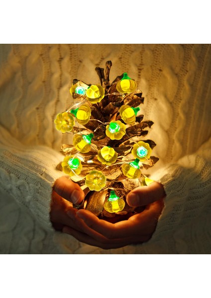 LED Balkabağı Peri Işıkları, 7.5ft 20 Zamanlayıcı Pille Çalışan LED Sıcak Gece Işıkları, Yatak Odası Için Alevsiz Peri Işıkları, Sonbahar Süslemeleri, Ev Dekorasyonu, Iç Mekan ve D (Yurt Dışından) modelleri