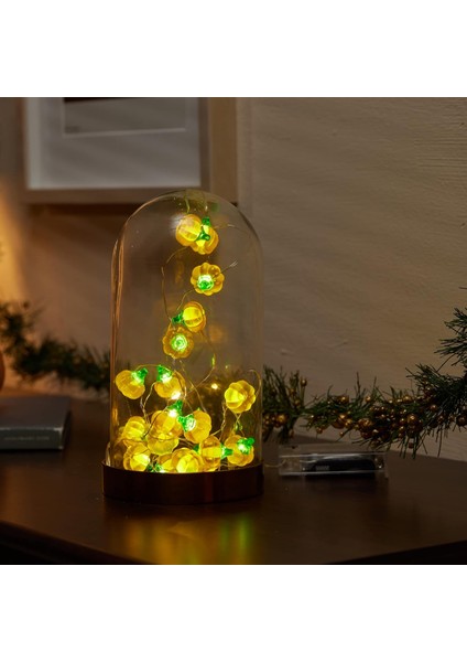LED Balkabağı Peri Işıkları, 7.5ft 20 Zamanlayıcı Pille Çalışan LED Sıcak Gece Işıkları, Yatak Odası Için Alevsiz Peri Işıkları, Sonbahar Süslemeleri, Ev Dekorasyonu, Iç Mekan ve D (Yurt Dışından) fırsatları