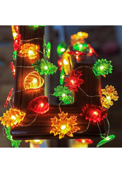 Şükran Günü Dekorasyonu Yaprak Peri Dize Işıklar Sonbahar Çelenk Yaprağı Dekoratif Işıklar Hasat Akçaağaç Meşe Dekor 10FT 30LED Pille Çalışan Dize Işıklar Sonbahar Çelenk Yatak Oda (Yurt Dışından)