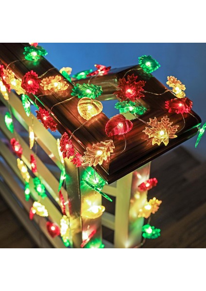 Şükran Günü Dekorasyonu Yaprak Peri Dize Işıklar Sonbahar Çelenk Yaprağı Dekoratif Işıklar Hasat Akçaağaç Meşe Dekor 10FT 30LED Pille Çalışan Dize Işıklar Sonbahar Çelenk Yatak Oda (Yurt Dışından)