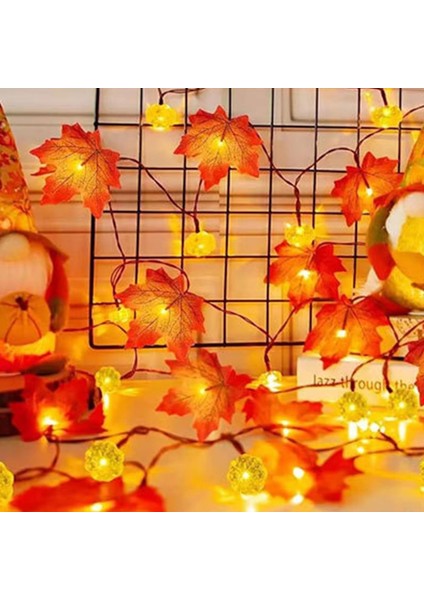 Cadılar Bayramı Balkabağı Dekoratif Dize Işık, Kabaklar Çelenk Işıkları Daha Büyük Akçaağaç Bırakın Dize Işık Düşüyor, 20/30LED Düşme Işıkları Pille Çalışan Kapalı Ev Dış Mekan Cad (Yurt Dışından) fırsatları