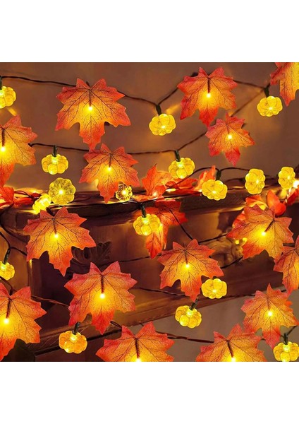 2 Paket Sonbahar Balkabağı Çelenk Işıkları Sonbahar Süslemeleri, Gerçekçi Akçaağaç Yaprağı Dize Işık, 9,8 Ft 20/30LED Sonbahar Işıkları Pille Çalışan Iç Mekan Ev Dış Mekan Şükran G (Yurt Dışından)