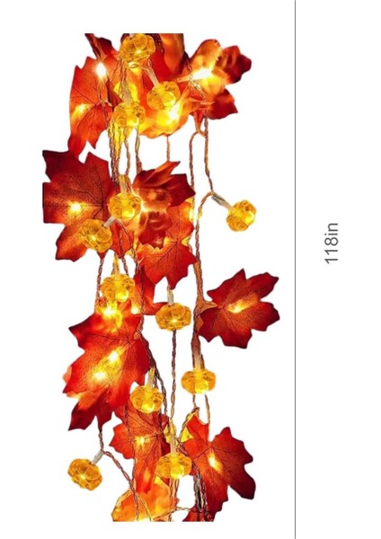 2 Paket Sonbahar Balkabağı Çelenk Işıkları Sonbahar Süslemeleri, Gerçekçi Akçaağaç Yaprağı Dize Işık, 9,8 Ft 20/30LED Sonbahar Işıkları Pille Çalışan Iç Mekan Ev Dış Mekan Şükran G (Yurt Dışından)
